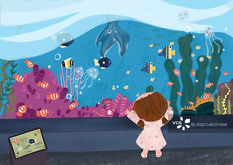 神秘的海底世界，海洋馆之旅图片素材