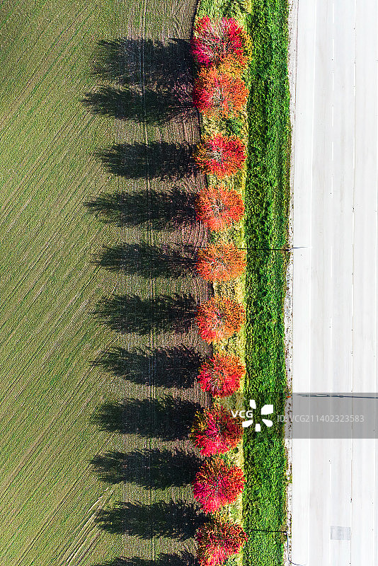 秋分农历图片素材