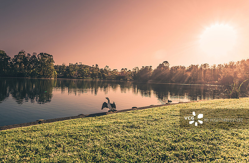 日落时分澳大利亚新南威尔士哈灵顿公园湖的湖泊风光图片素材
