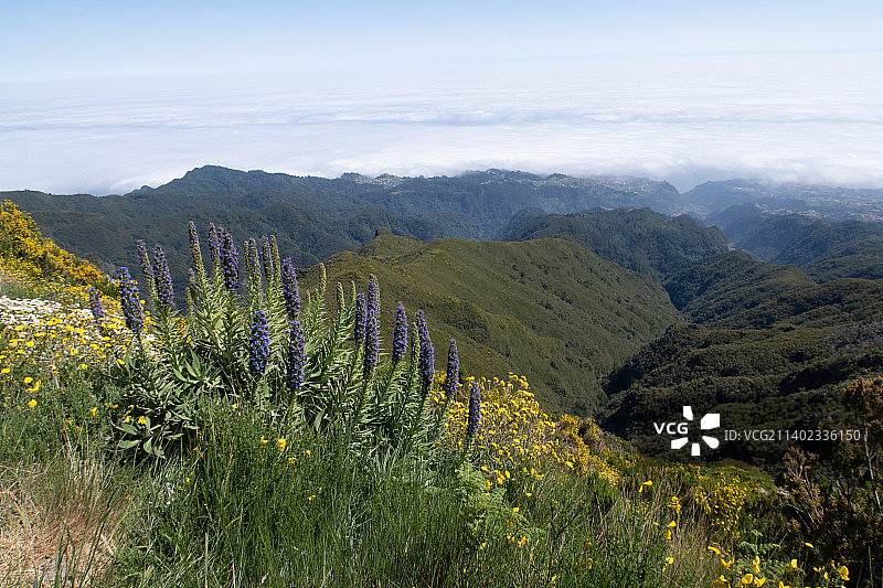 葡萄牙马德拉的壮丽山景图片素材