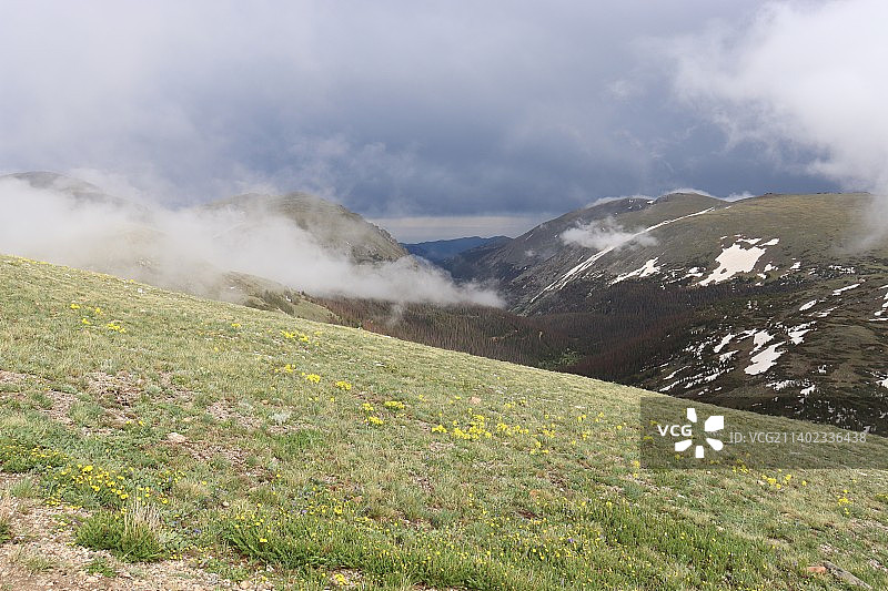 科罗拉多州落基山国家公园的云雾缭绕花山坡图片素材