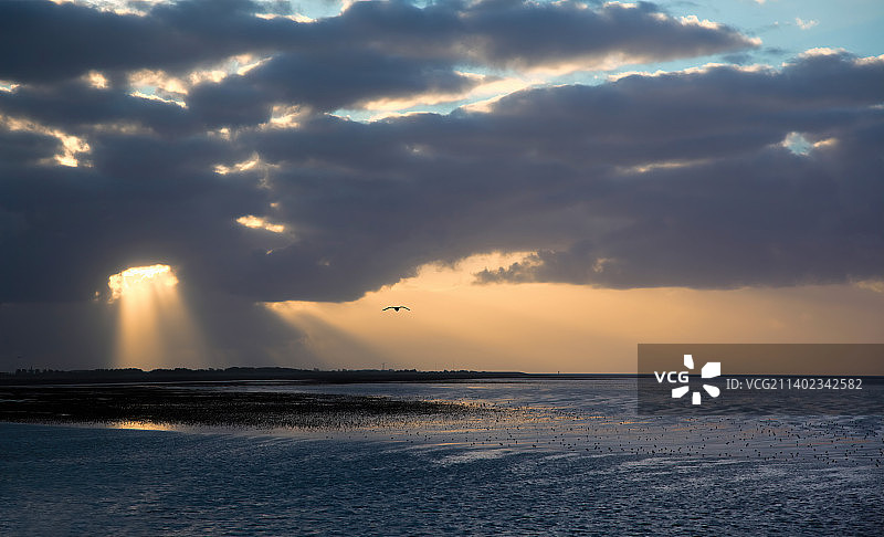 荷兰劳厄尔斯奥赫日落时分的海景图片素材