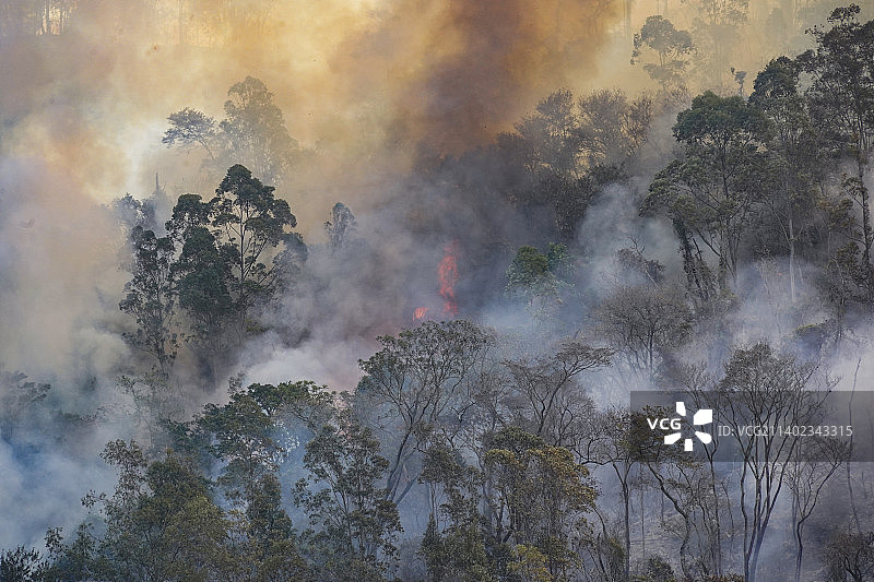巴西圣保罗州蒙特阿莱格里杜苏尔森林火灾图片素材