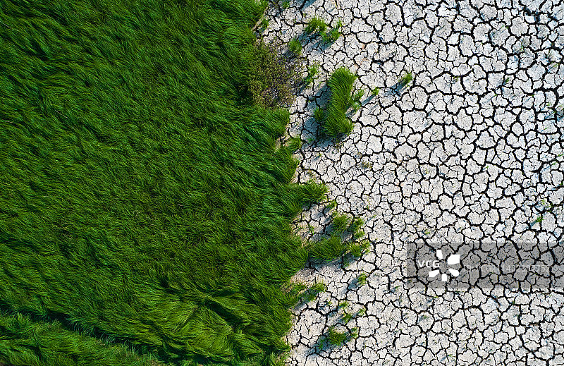 干涸的鄱阳湖图片素材