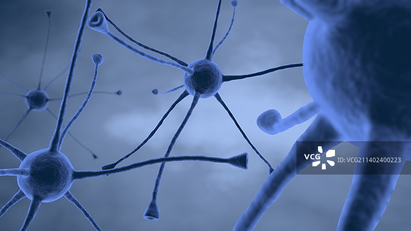 神经元图片素材