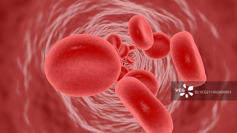 红细胞图片素材