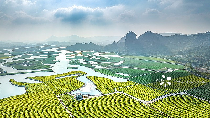 桃渚桃江十三渚油菜花海图片素材