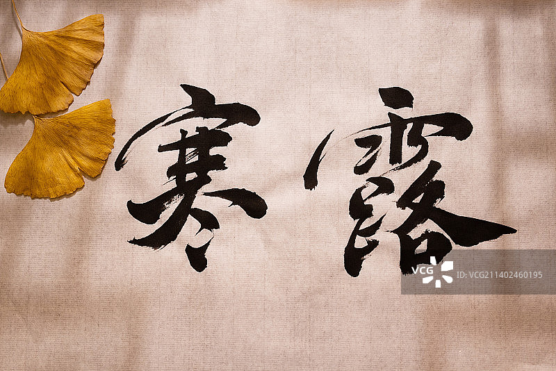 寒露,二十四节气,书法,中国文化图片素材