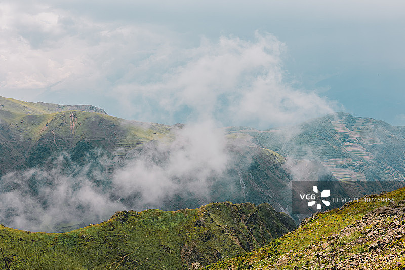 大海草山 #3图片素材