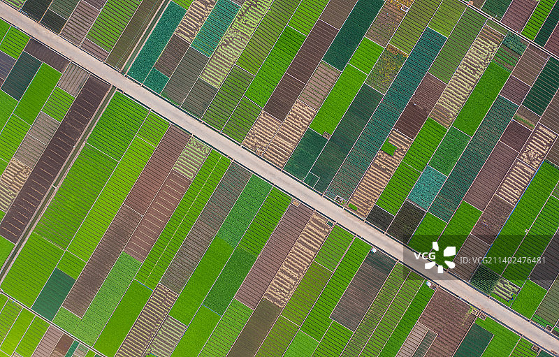 云南玉溪通海农田图片素材