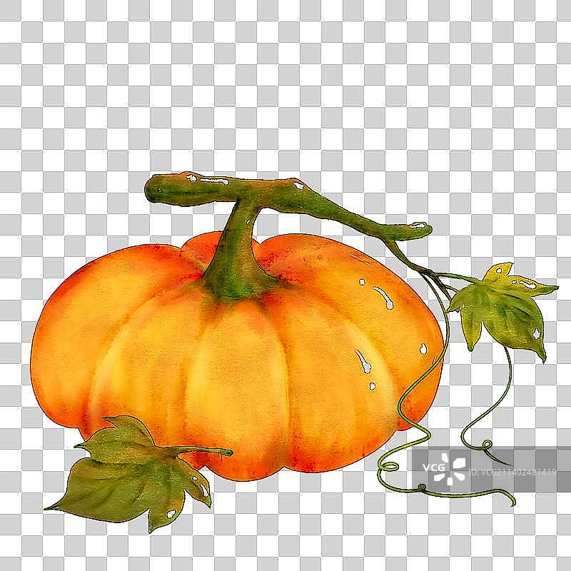 手绘水彩万圣节南瓜图片素材