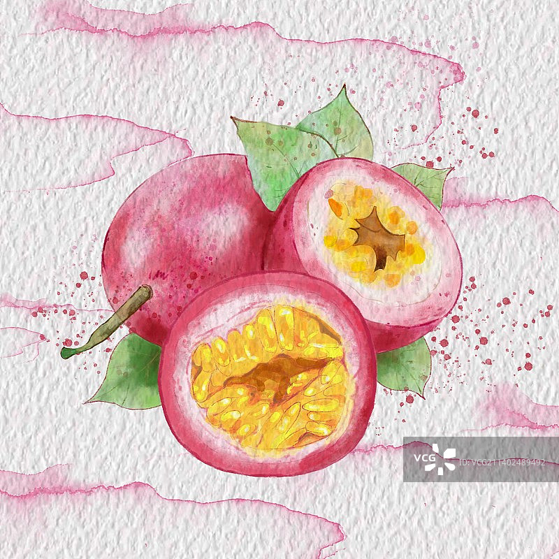 百香果图片素材