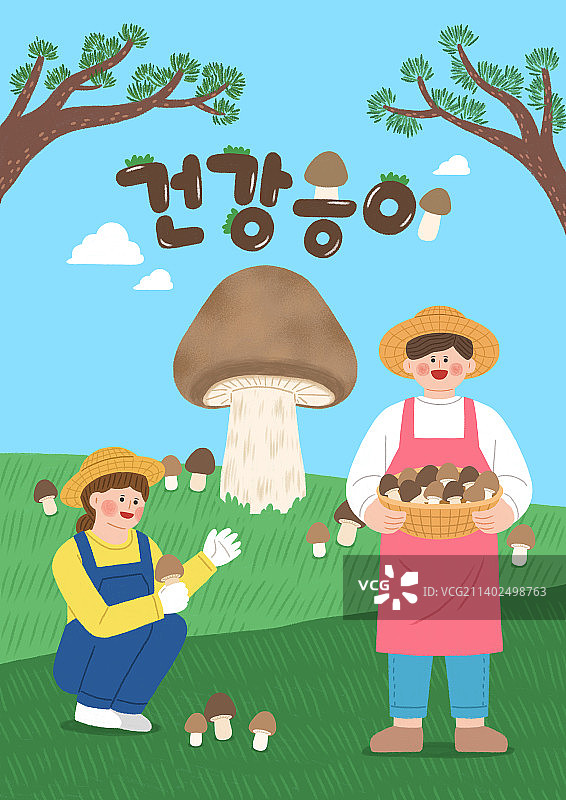 韩国特产松茸图片素材