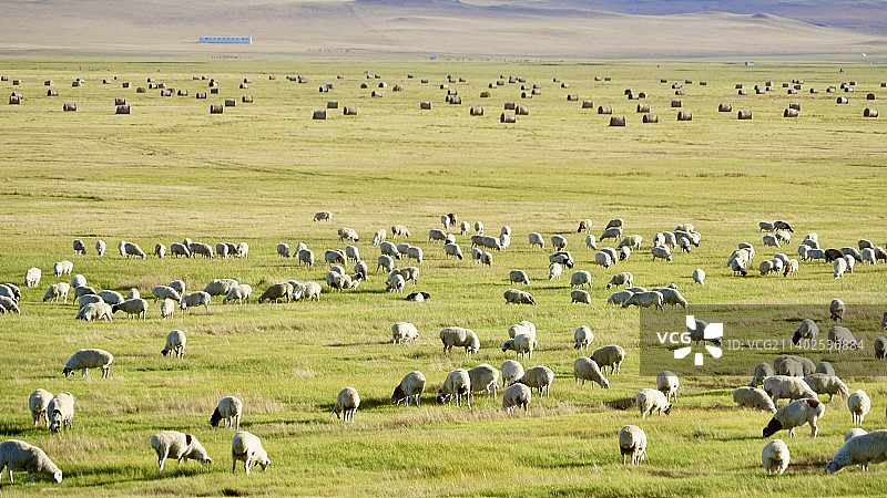 九月底的呼伦贝尔图片素材