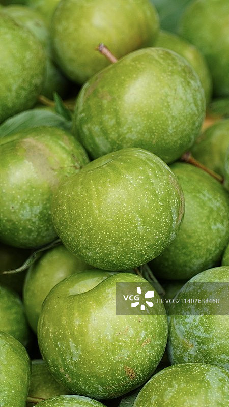 《脱骨李》图片素材