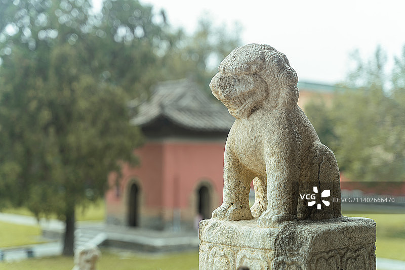 风化严重的古代石雕狮子像图片素材