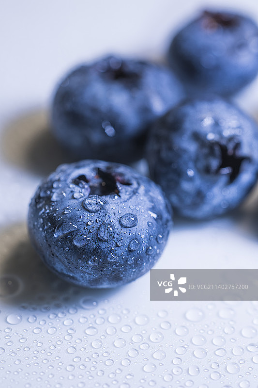 微距蓝莓特写图片素材