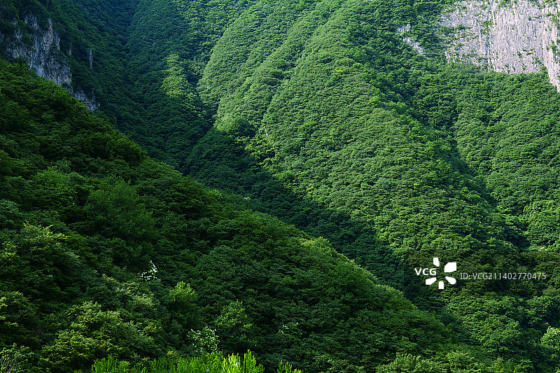 绿色太行山图片素材