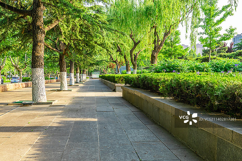 中国城市道路步行道路拍摄主题，延伸的砖地散步道和两侧绿色的雪松和花坛里的绿色植物，户外白昼无人图像摄图片素材