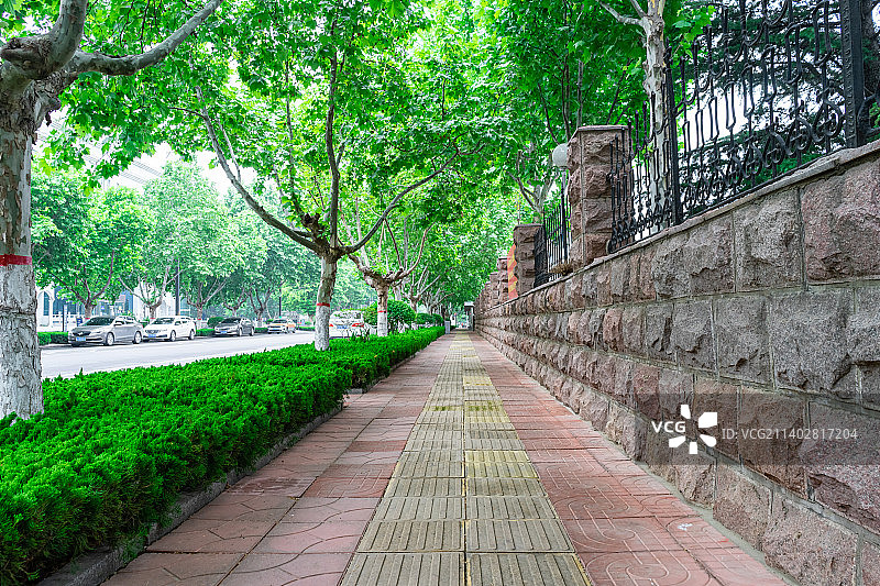 中国城市道路步行道路拍摄主题，延伸的砖地散步道和两侧绿色的雪松和花坛里的绿色植物，户外白昼无人图像摄图片素材