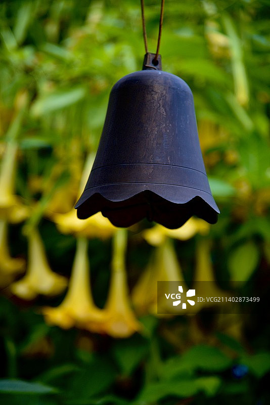 风铃与曼陀罗图片素材