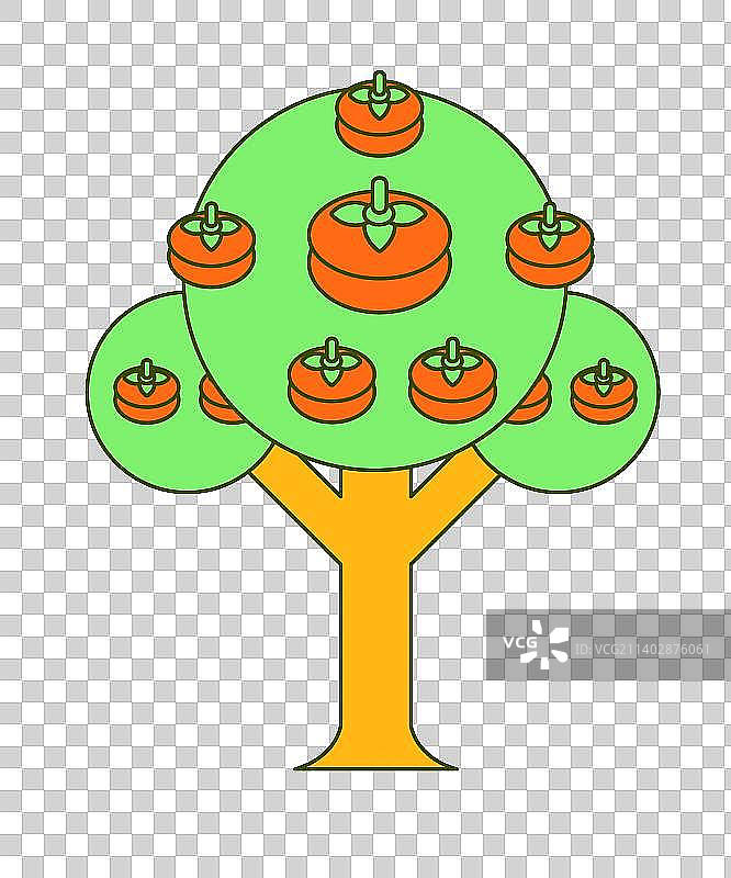 一棵结满柿子的果树图片素材