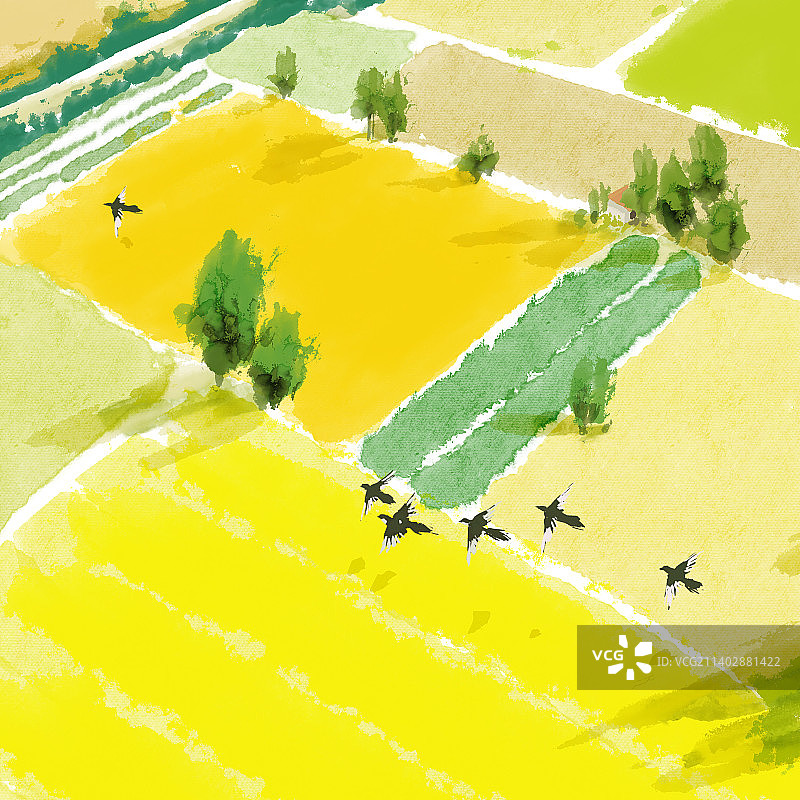 清新新农村麦田插画图片素材
