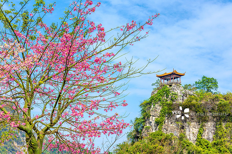 中国广西柳州龙潭公园剪风亭图片素材