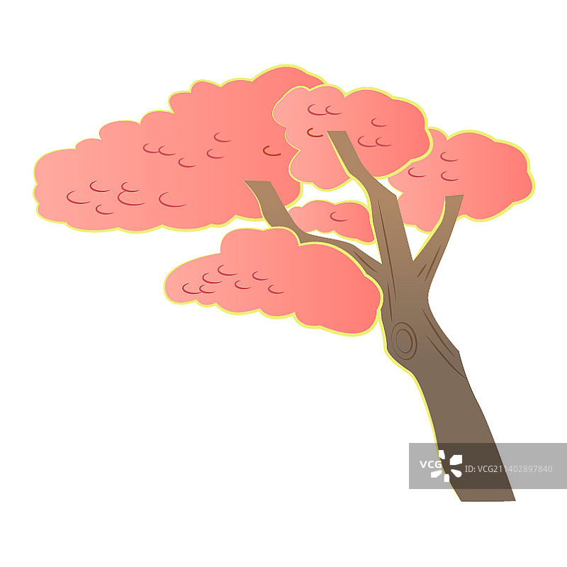 樱花的树图片素材