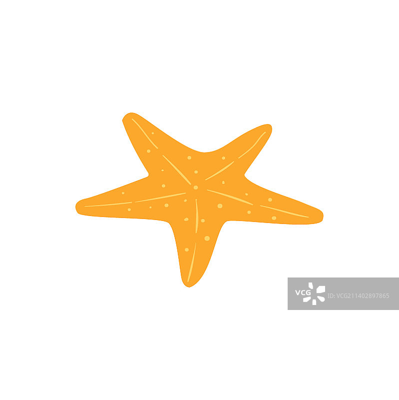 黄色海星图片素材