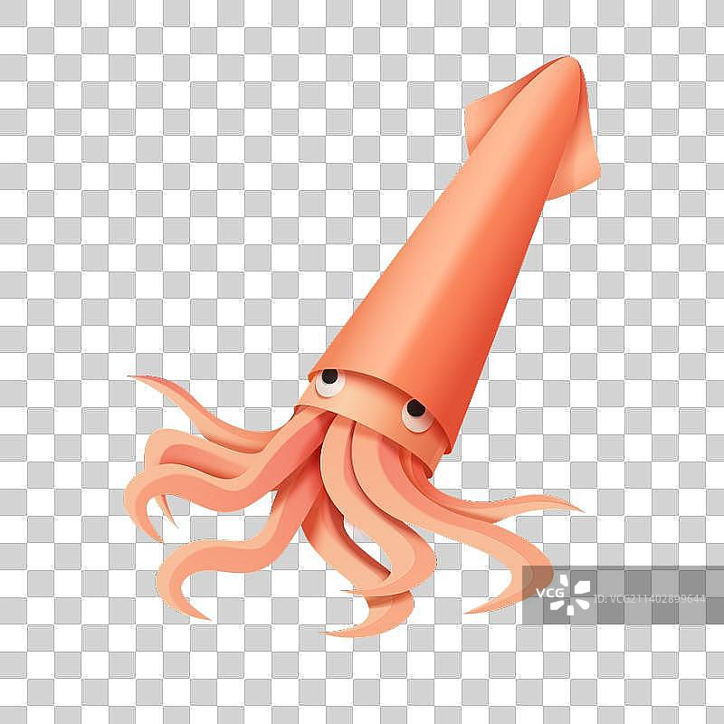 可爱的鱿鱼图片素材