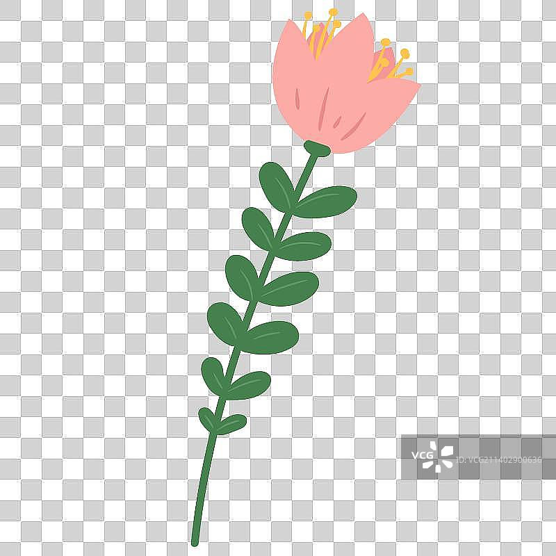 粉红色的花杆图片素材