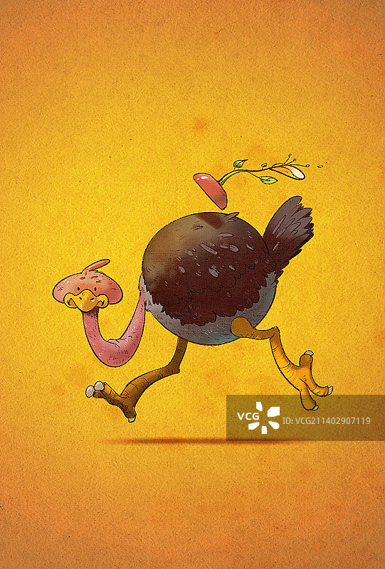 小眼睛动物-鸵鸟图片素材