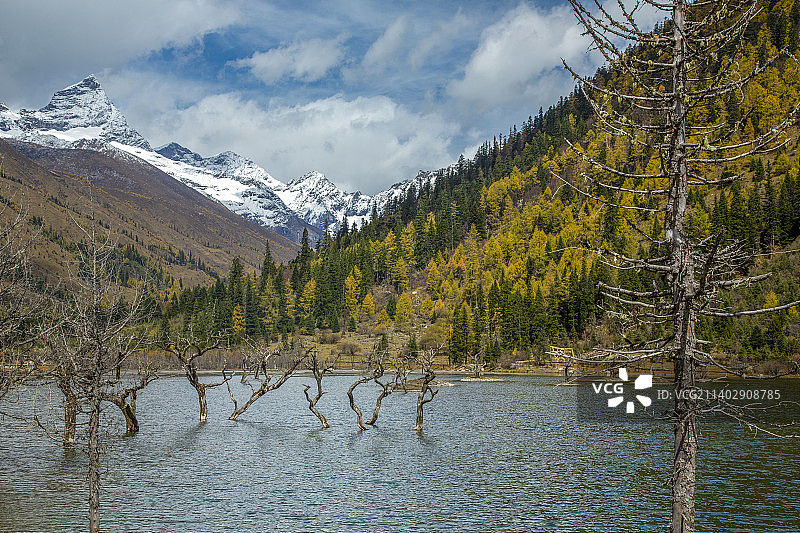 小金县四姑娘山双桥沟秋色迷醉图片素材