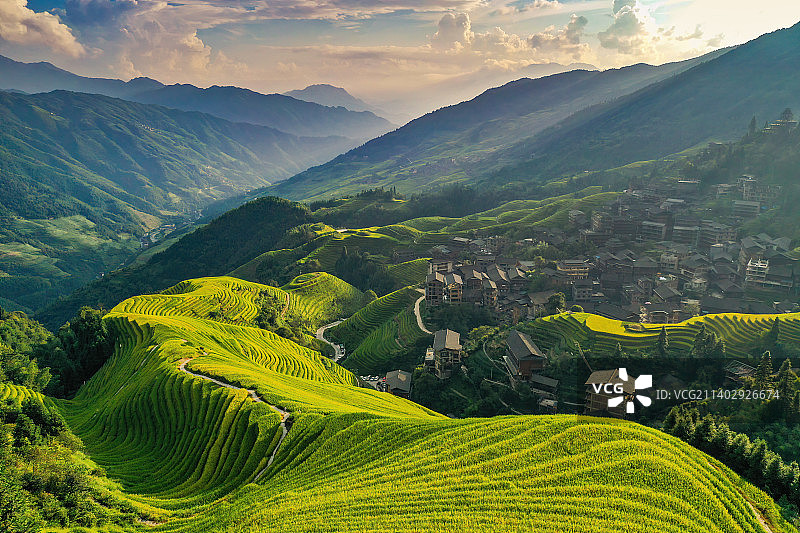 龙脊梯田金秋丰收图片素材