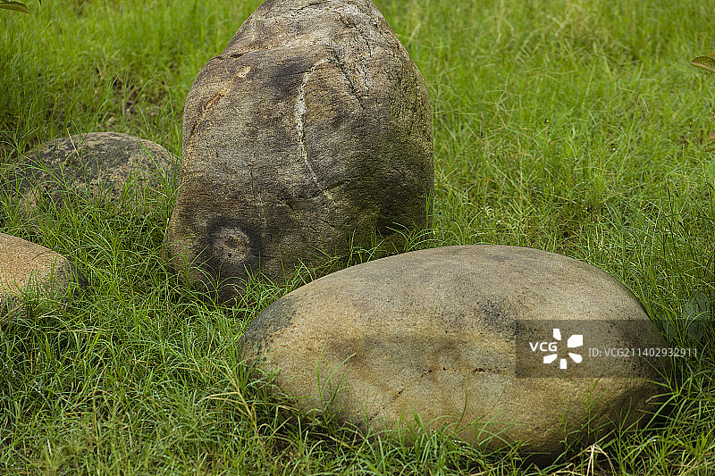 草地上的石头图片素材