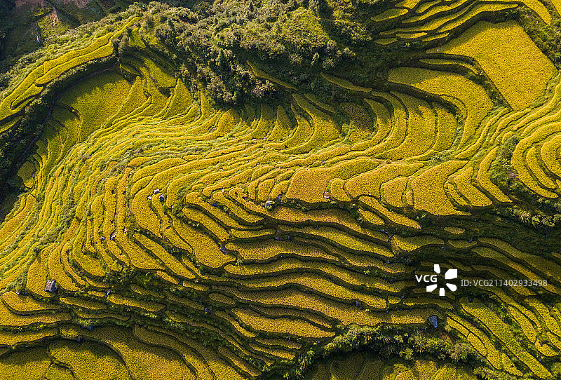 福建长汀马罗梯田图片素材