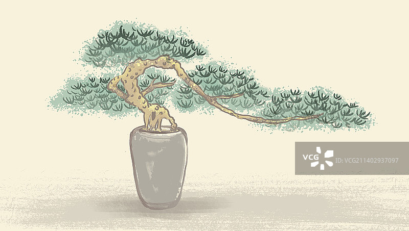 国风水墨松树中国传统文化诗意盘栽盘景五棵松图片素材