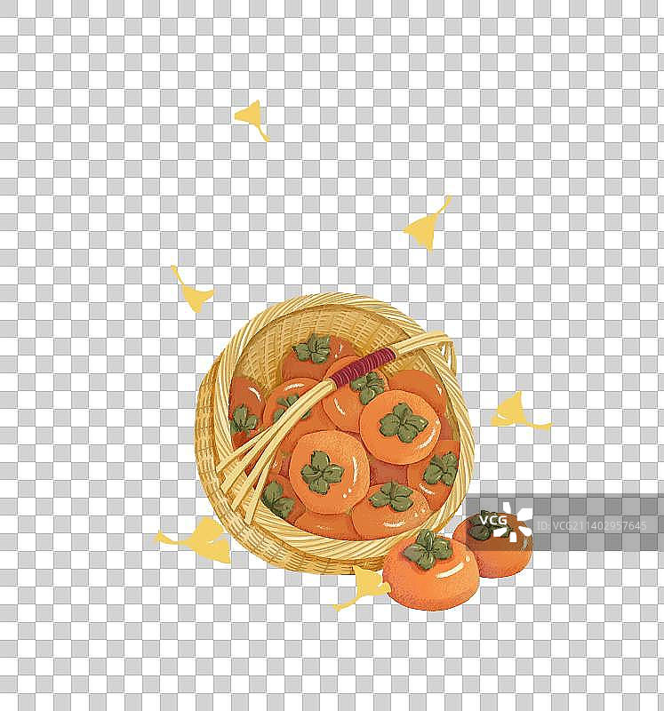 霜降，节气，柿子图片素材