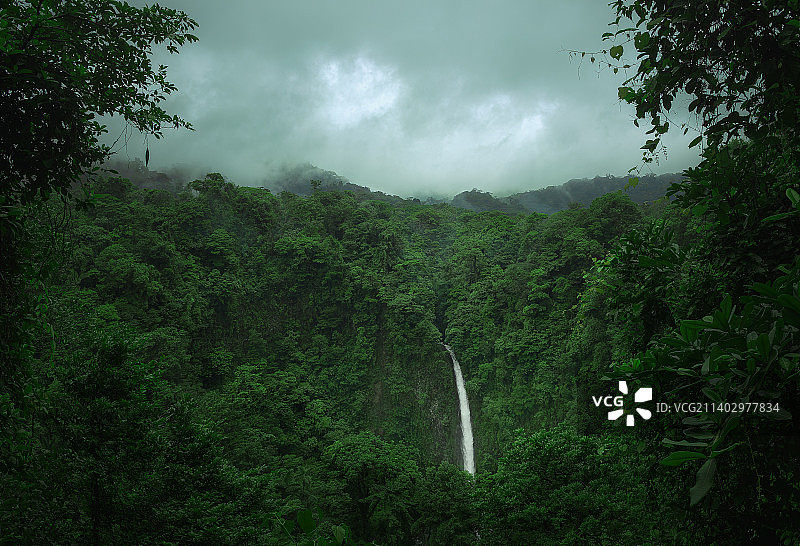 哥斯达黎加蒙特维多森林景色图片素材