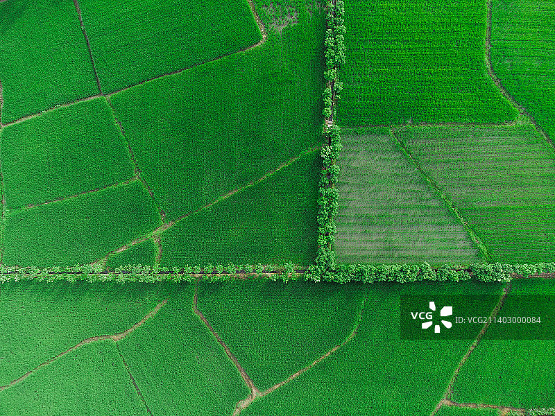 新津农田图片素材