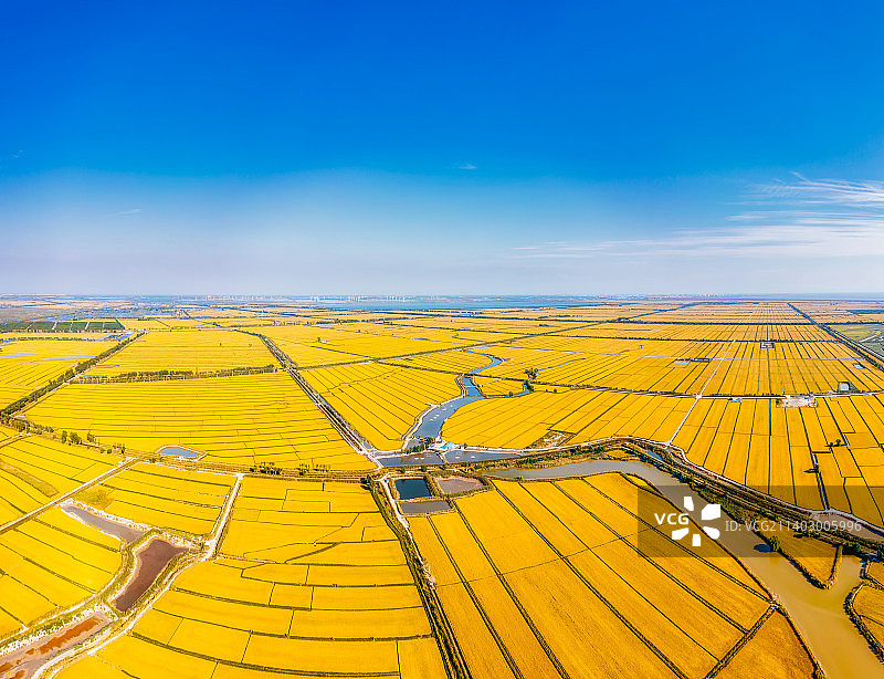辽宁盘锦辽河口水稻田秋季全景航拍图片素材