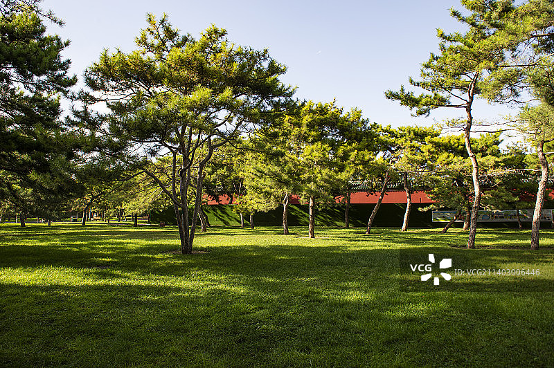 北京，地坛公园风景。图片素材