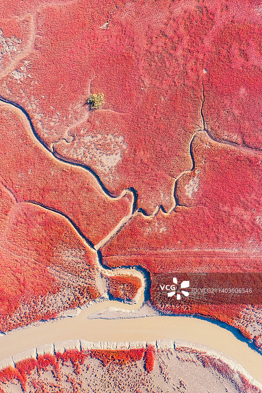 辽宁省盘锦市辽河口红海滩国家风景廊道秋季户外航拍图片素材