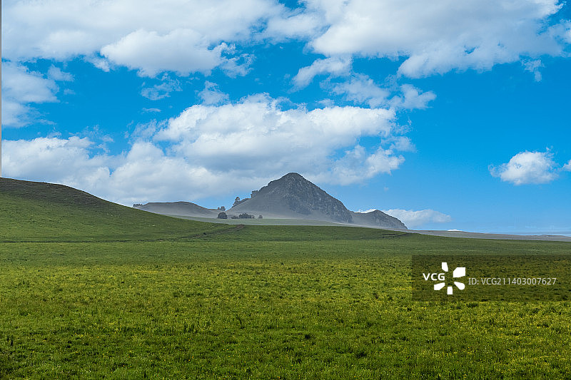 夏季的内蒙古赤峰大草原自然风光图片素材