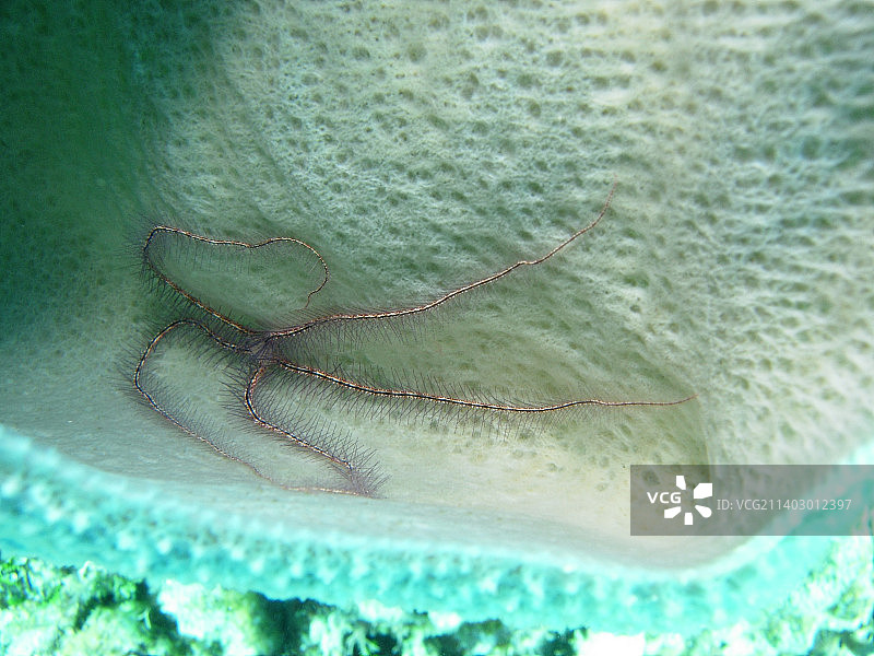 海洋鸟瞰图图片素材