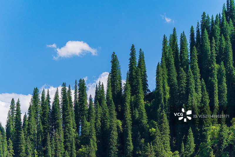 唐布拉草原风光图片素材