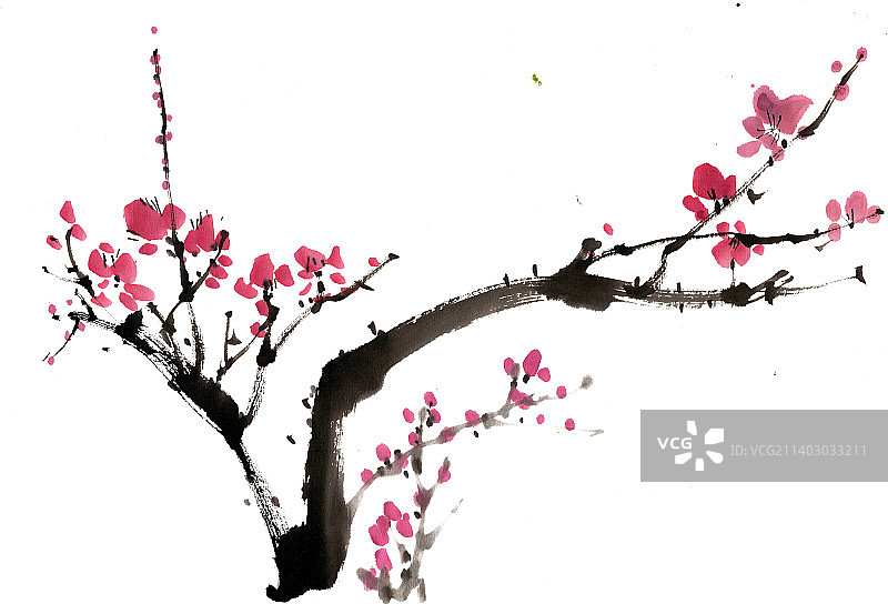 傲雪寒梅图片素材