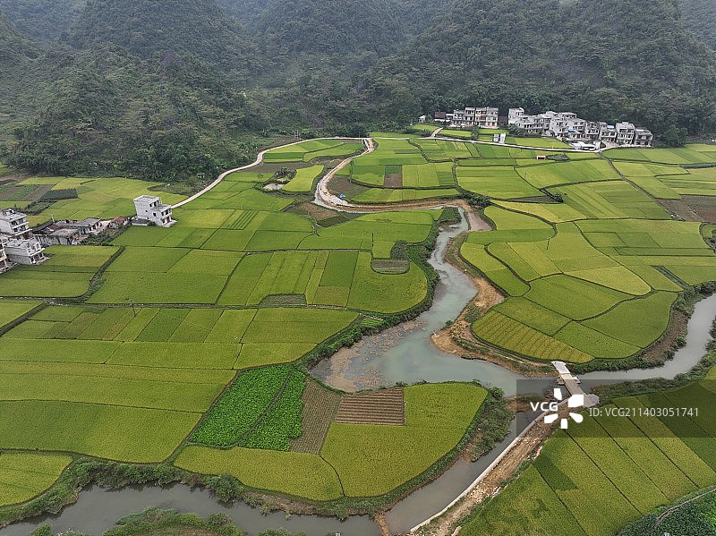 《广西靖西田园风光》图片素材