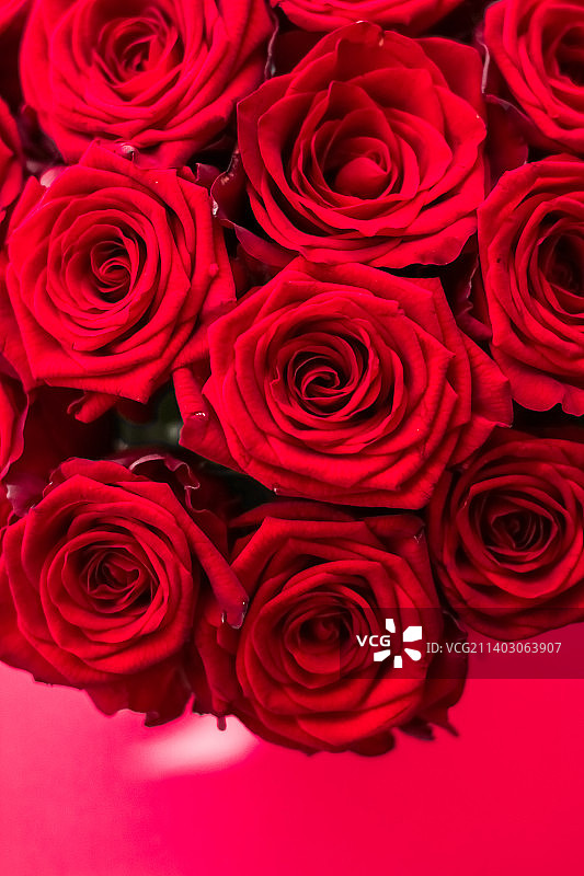 华丽的红色玫瑰花束图片素材